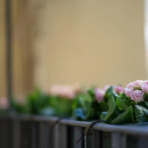 Pgrhome Croce Roma